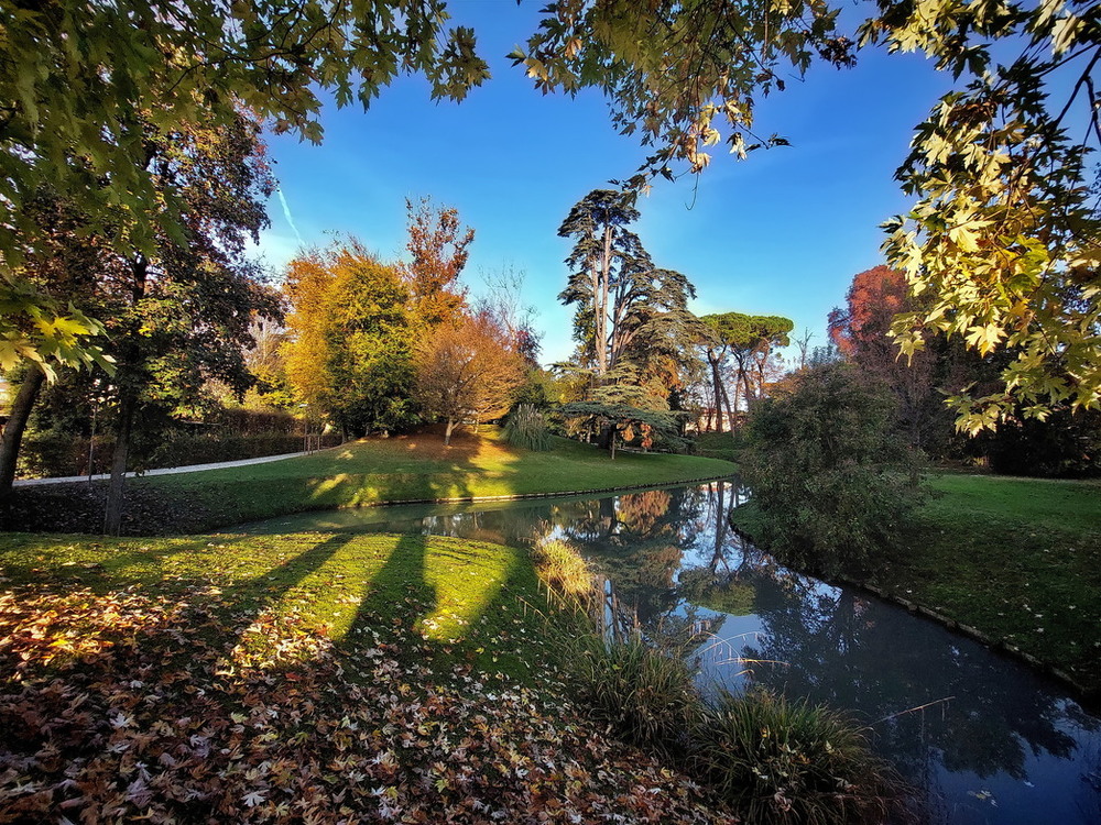Фотографія Мій ранковий осінній парк / Ірина Кулікова / photographers.ua