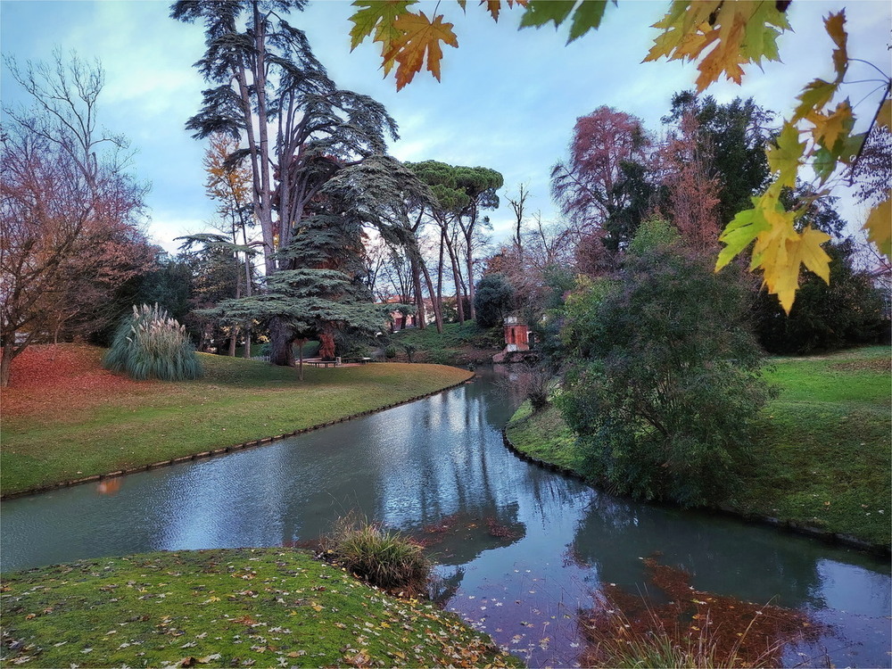 Фотографія Останні кольори Осені / Ірина Кулікова / photographers.ua