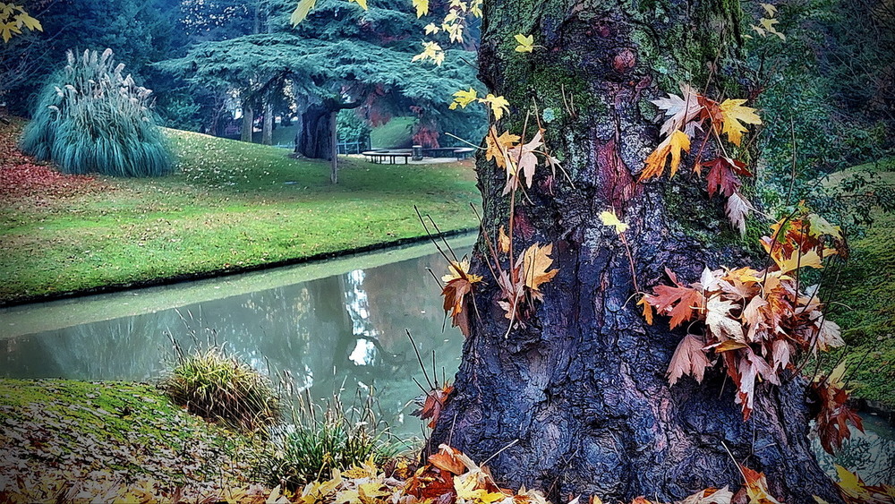 Фотографія Ще про осінь.. / Ірина Кулікова / photographers.ua