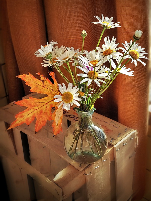 Фотографія Осінній натюрморт / Ірина Кулікова / photographers.ua