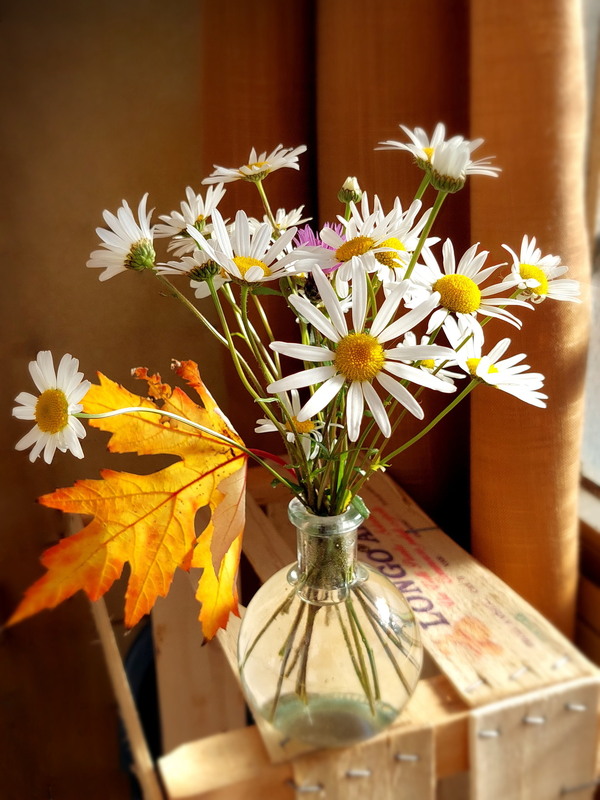 Фотографія Осінній букетик / Ірина Кулікова / photographers.ua