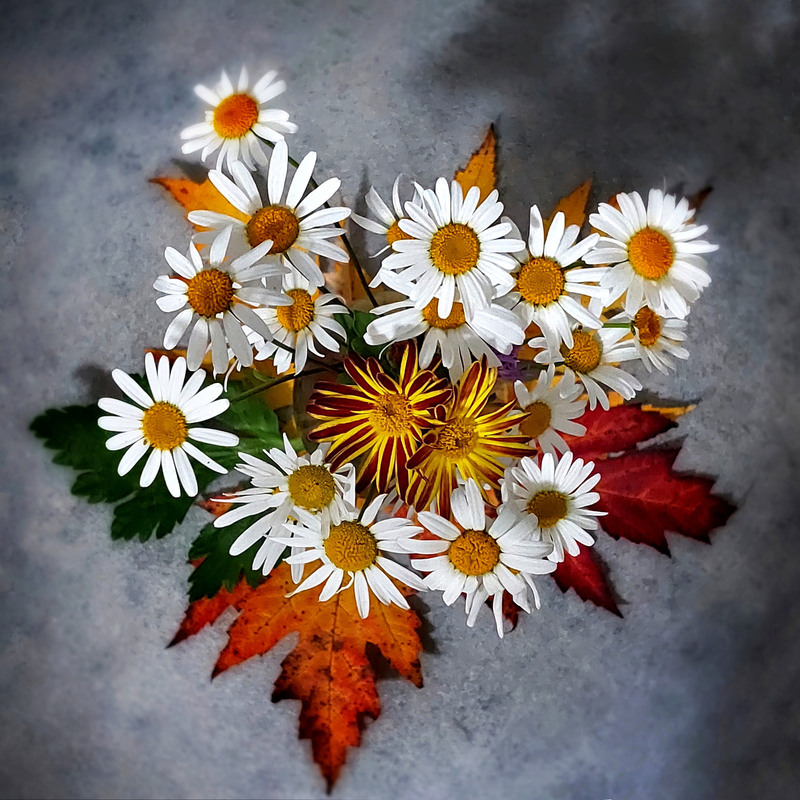 Фотографія Заглядають в обличчя.. / Ірина Кулікова / photographers.ua