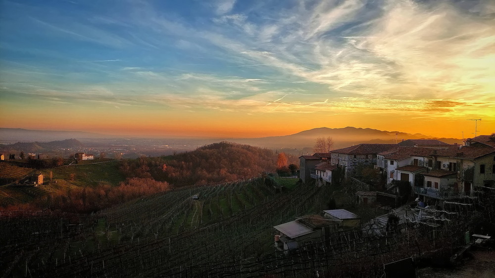 Фотографія Тиша і спокій у виноробному краї / Ірина Кулікова / photographers.ua