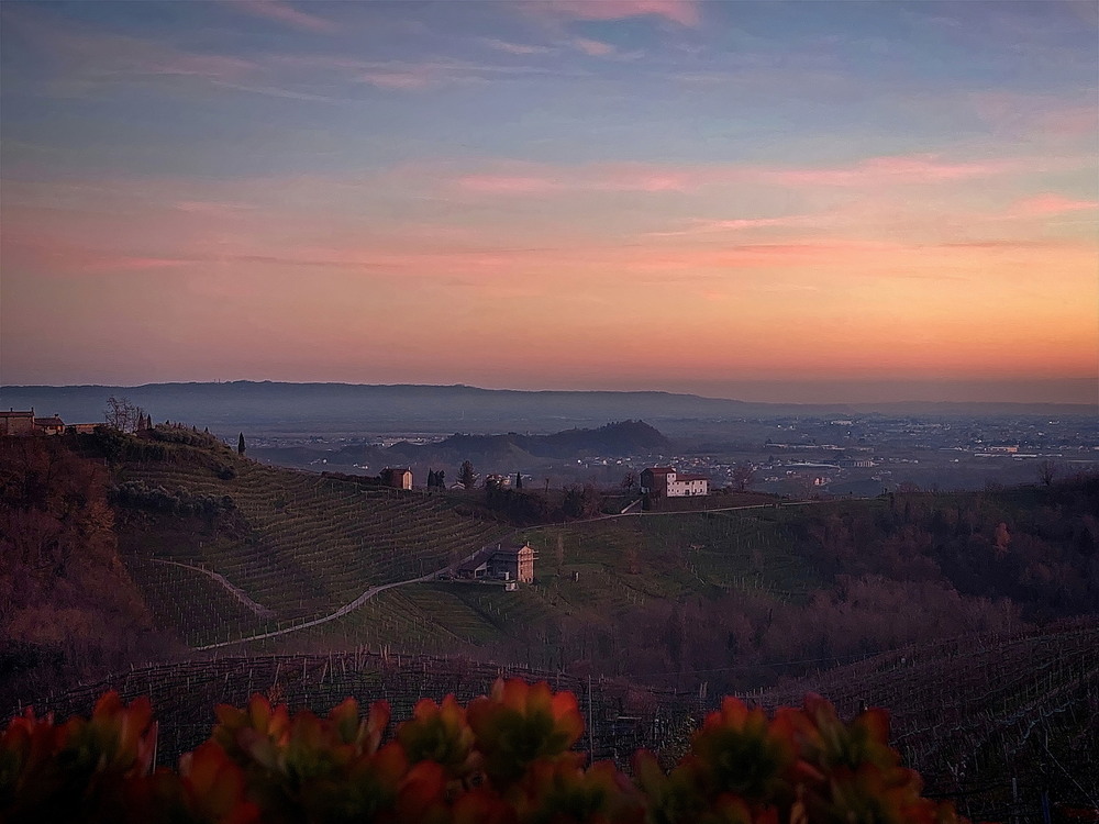 Фотографія Вечірня казка виноградних схилів / Ірина Кулікова / photographers.ua
