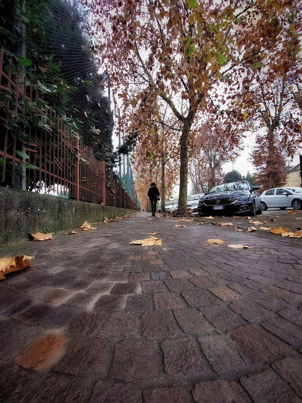 Фотографія Бруківка.. Осінь.. Листопад / Ірина Кулікова / photographers.ua