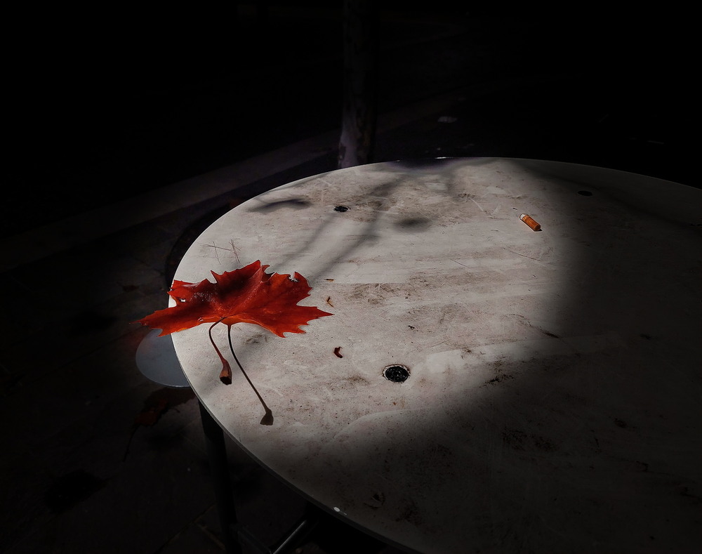 Фотографія Осінній свідок / Ірина Кулікова / photographers.ua