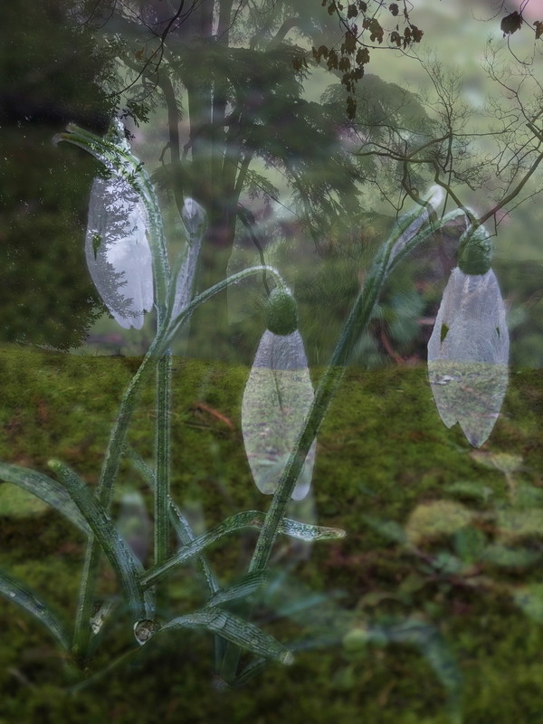 Фотографія Туманні натяки Весни.. / Ірина Кулікова / photographers.ua