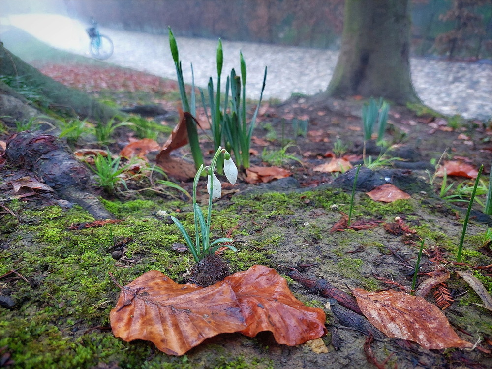 Фотографія По дорозі.. / Ірина Кулікова / photographers.ua
