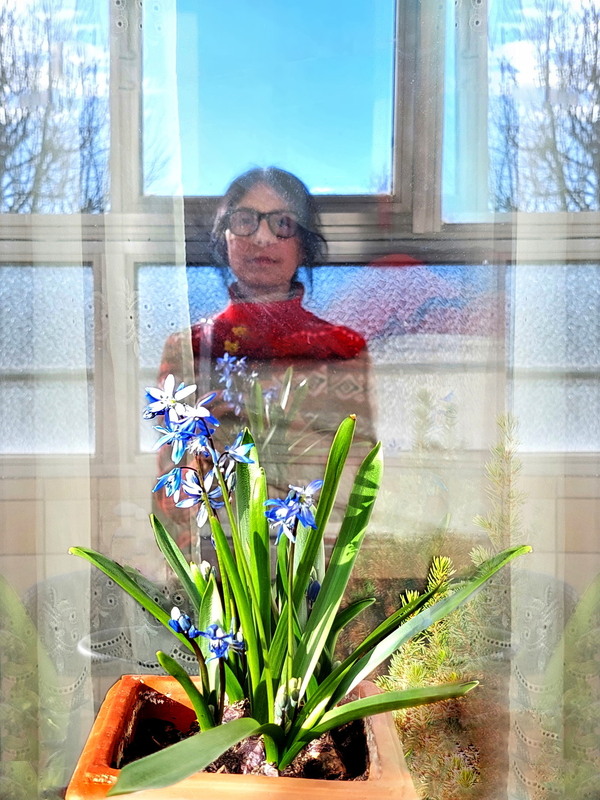 Фотографія За зачиненим вікном: те, що я знала / Ірина Кулікова / photographers.ua