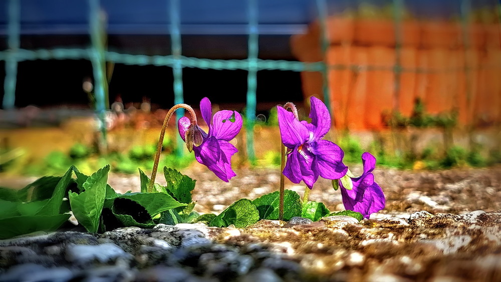 Фотографія Пробудження сонцем / Ірина Кулікова / photographers.ua