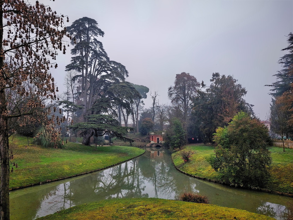 Фотографія Смарагдовий сон туманного ранку / Ірина Кулікова / photographers.ua