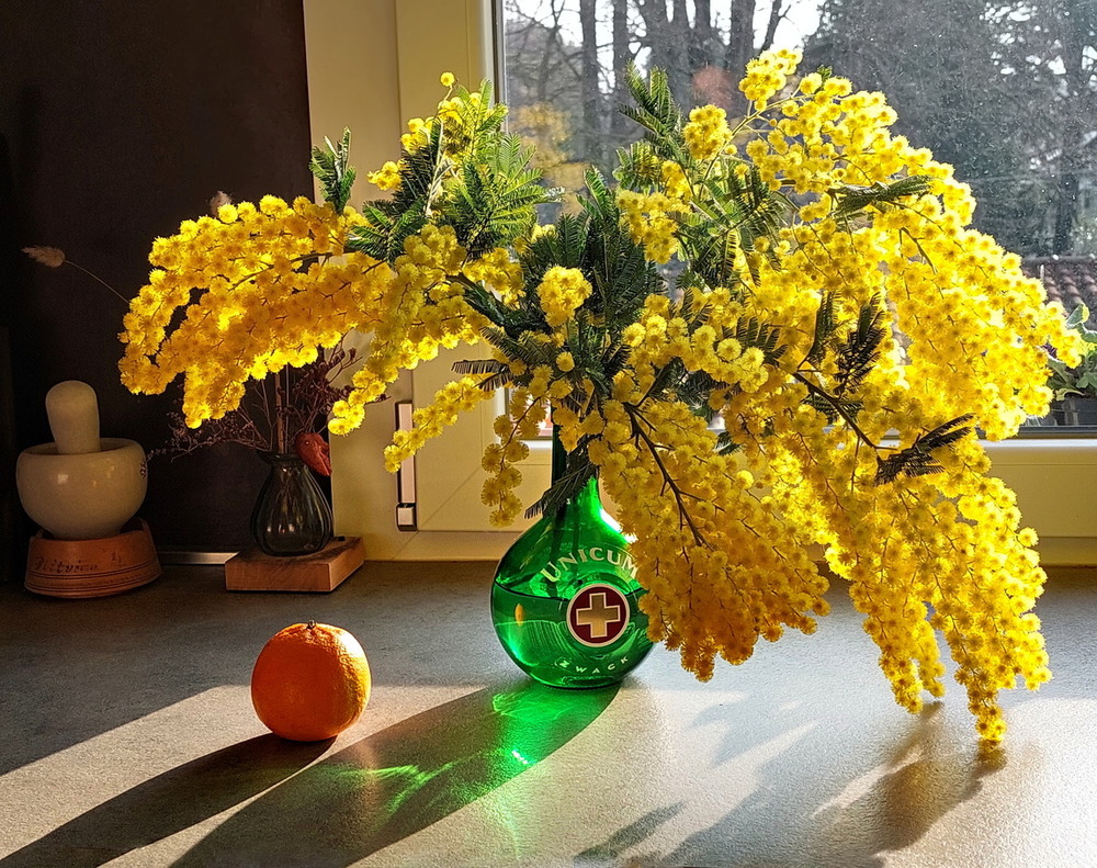 Фотографія Сонячне пробудження на кухні / Ірина Кулікова / photographers.ua