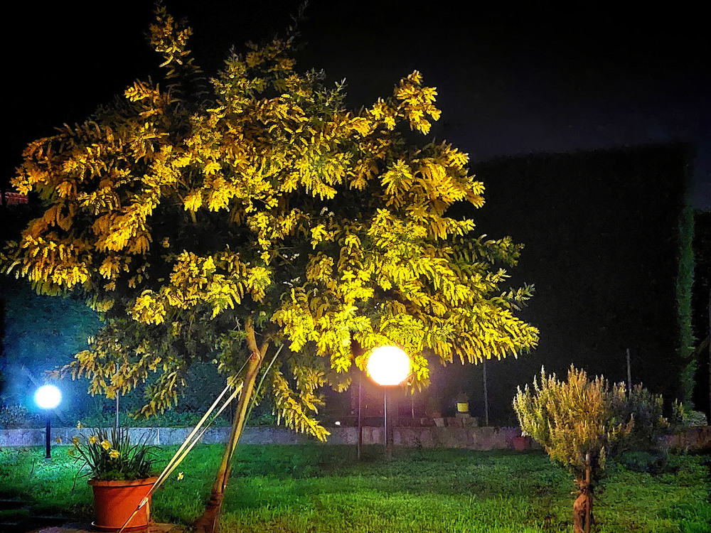 Фотографія Ніч у нашому дворі / Ірина Кулікова / photographers.ua