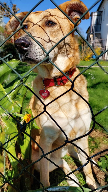 Фотографія Сусідка Nella / Ірина Кулікова / photographers.ua