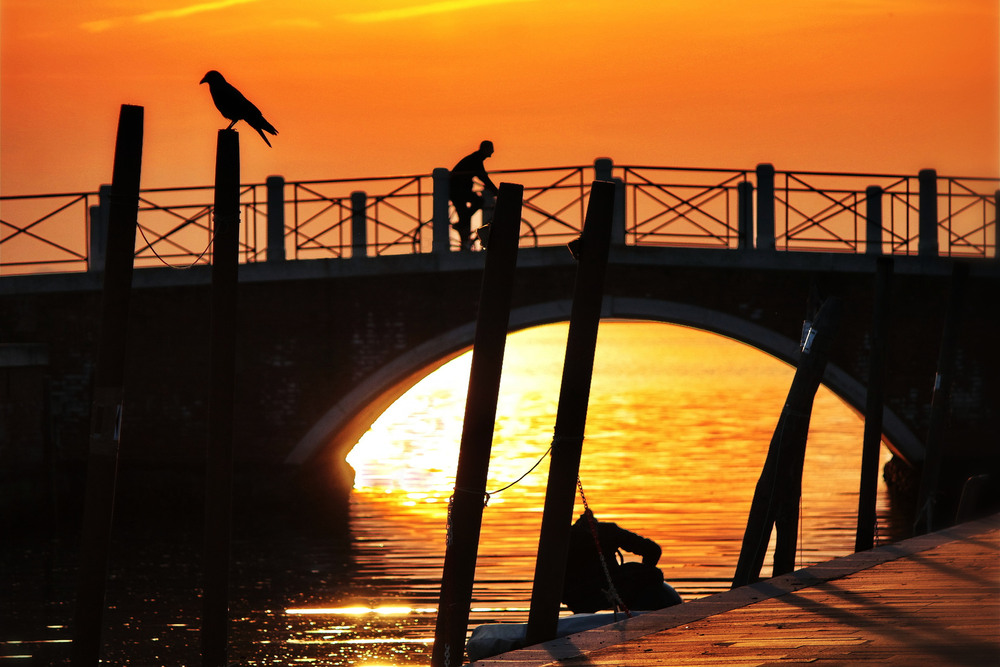 Фотографія Золотий міст у позачасся / Ірина Кулікова / photographers.ua