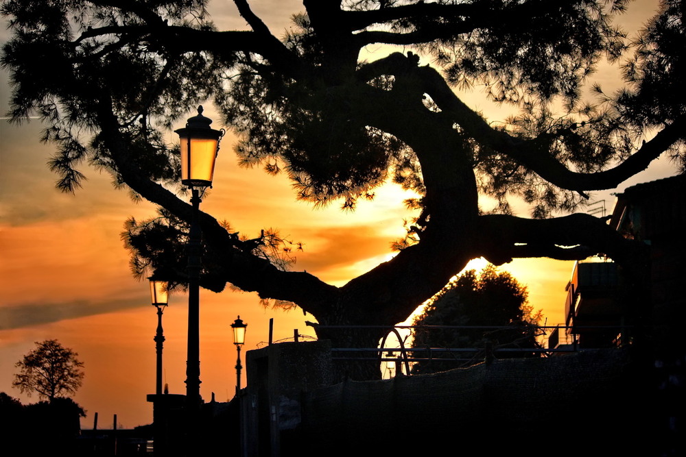 Фотографія Вартові Маламокко в західних променях / Ірина Кулікова / photographers.ua