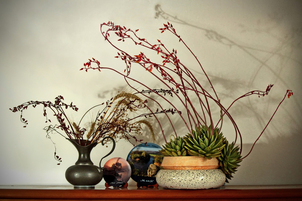 Фотографія Діалог витончених форм / Ірина Кулікова / photographers.ua