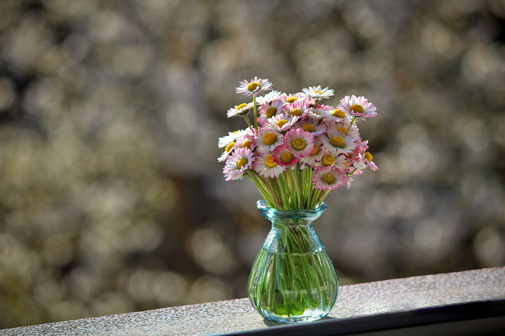 Фотографія Квіти, які завжди посміхаються / Ірина Кулікова / photographers.ua