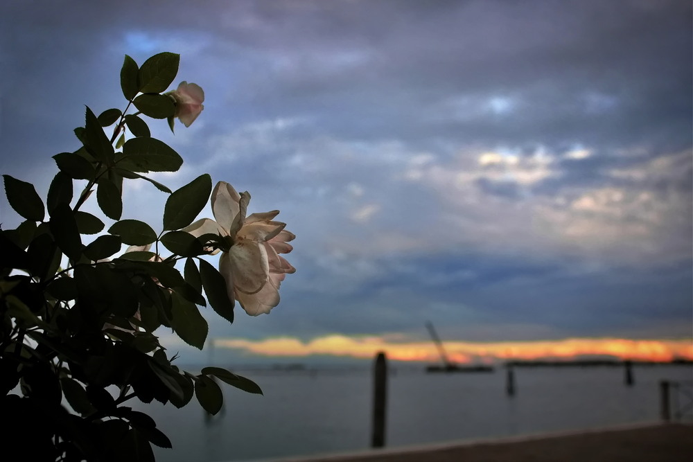 Фотографія Вечірнє адріатичне.. / Ірина Кулікова / photographers.ua