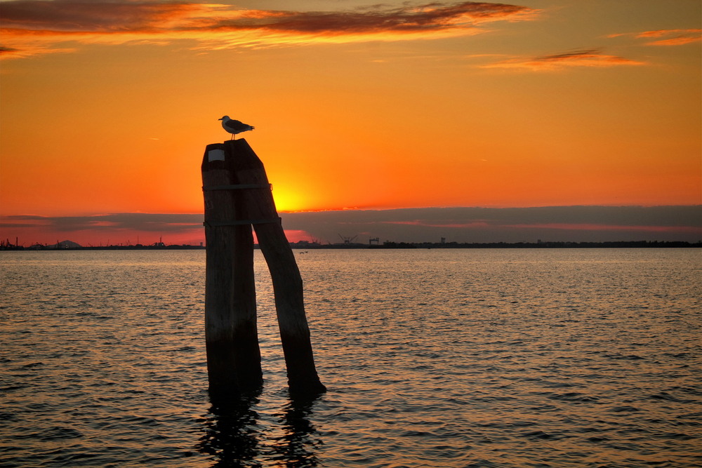 Фотографія Повертаючись з Бурано.. / Ірина Кулікова / photographers.ua