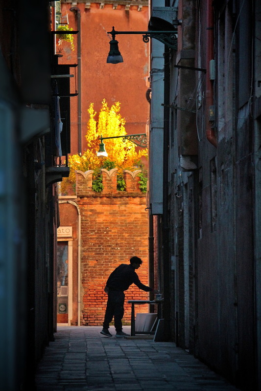 Фотографія Венеціанська позолота пізньої осіні.. / Ірина Кулікова / photographers.ua