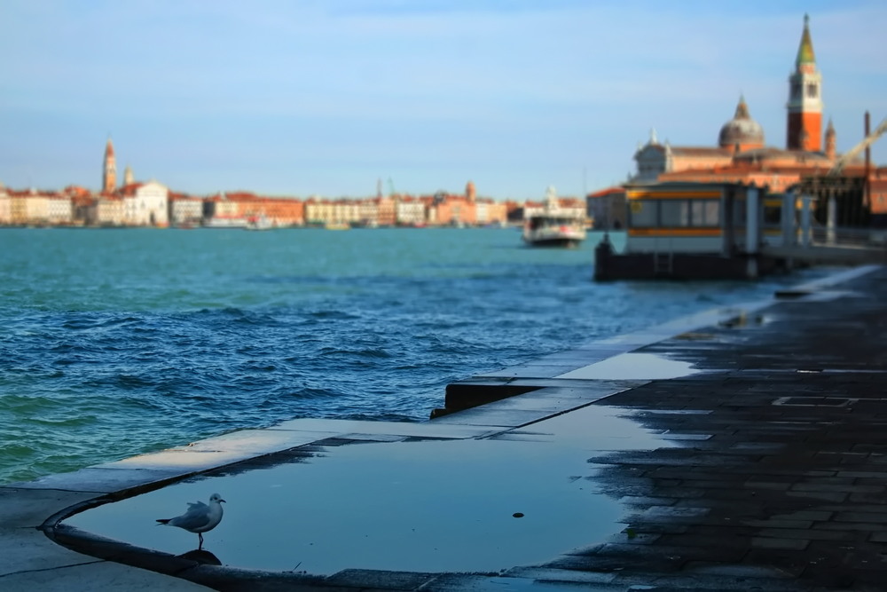 Фотографія Погляд з Джудекки / Ірина Кулікова / photographers.ua