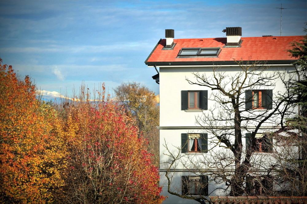 Фотографія Жовто-блакитний день в вікні моїм / Ірина Кулікова / photographers.ua