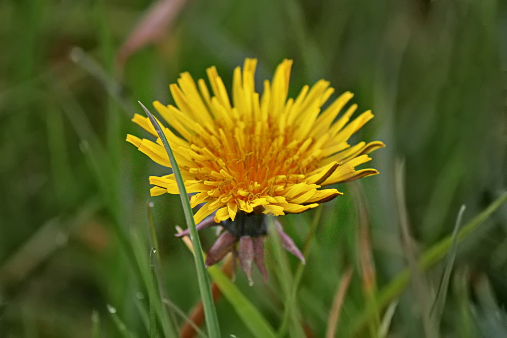 Фотографія Ще не зима.. / Ірина Кулікова / photographers.ua