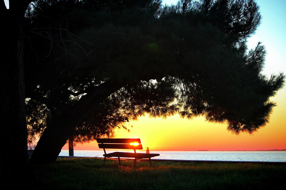 Фотографія Лавка для мрій / Ірина Кулікова / photographers.ua