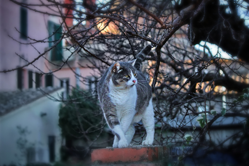 Фотографія На постаменті / Ірина Кулікова / photographers.ua