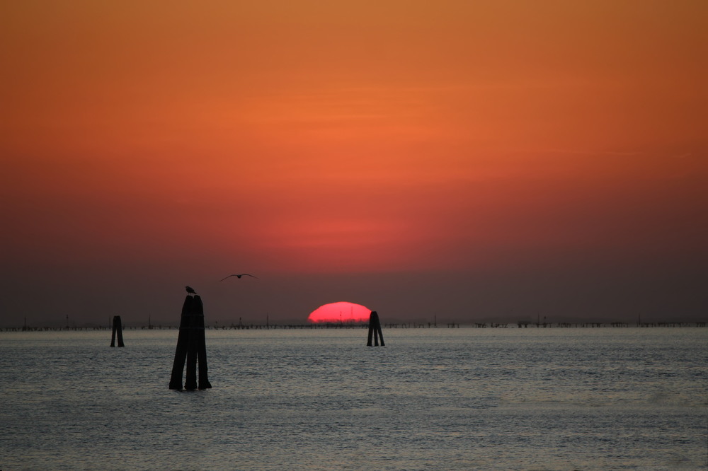 Фотографія Сонце, що тоне в лагуні / Ірина Кулікова / photographers.ua