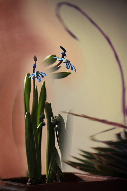 Фотографія Подих Весни.. / Ірина Кулікова / photographers.ua