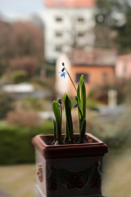 Фотографія Очікування.. / Ірина Кулікова / photographers.ua