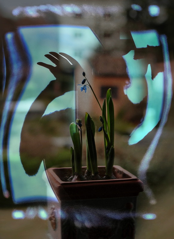 Фотографія Примара весни / Ірина Кулікова / photographers.ua