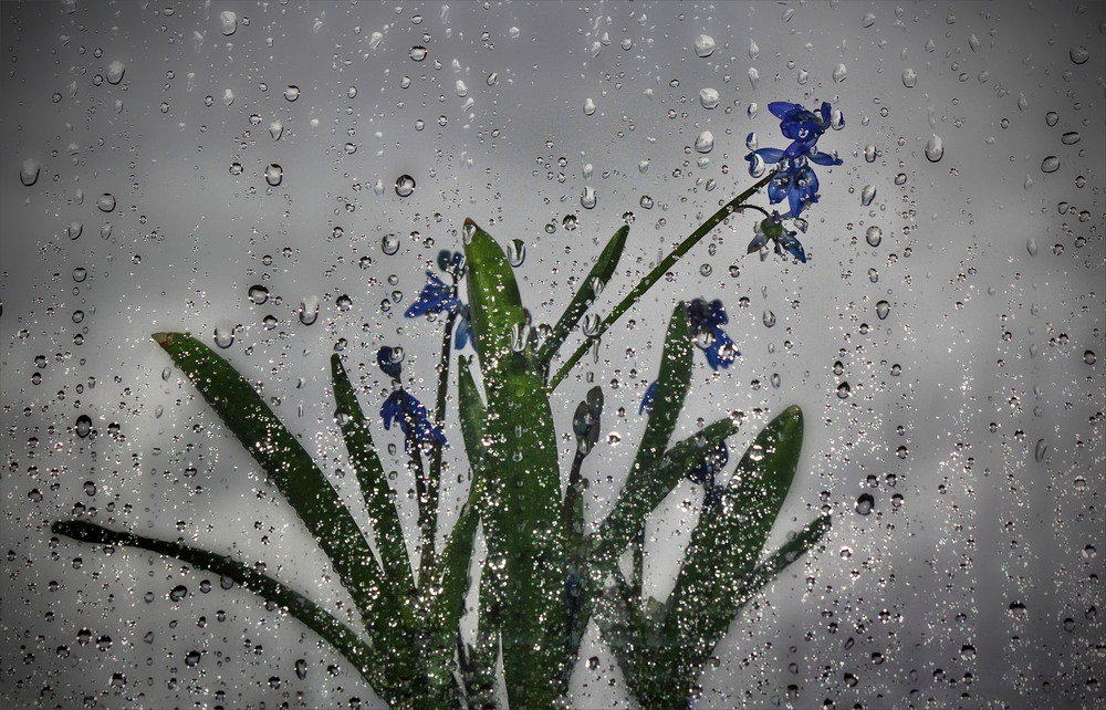 Фотографія Останній дощ..? / Ірина Кулікова / photographers.ua