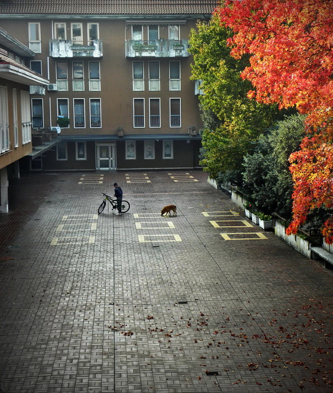Фотографія За вікном - осінь.. / Ірина Кулікова / photographers.ua