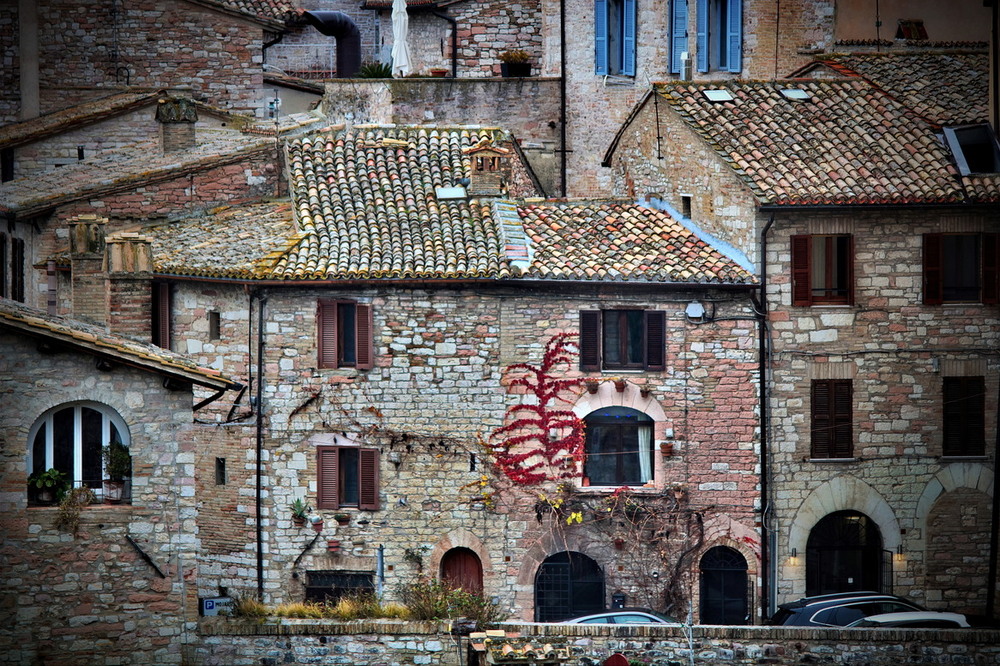 Фотографія Відлуння осені взимку / Ірина Кулікова / photographers.ua