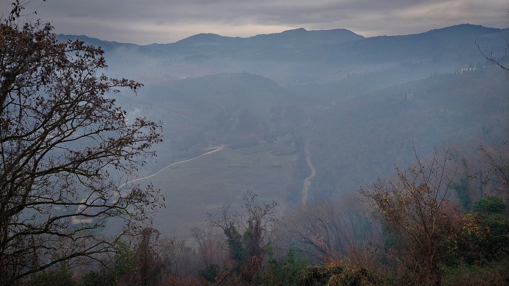 Фотографія Німфа у імлі.. / Ірина Кулікова / photographers.ua