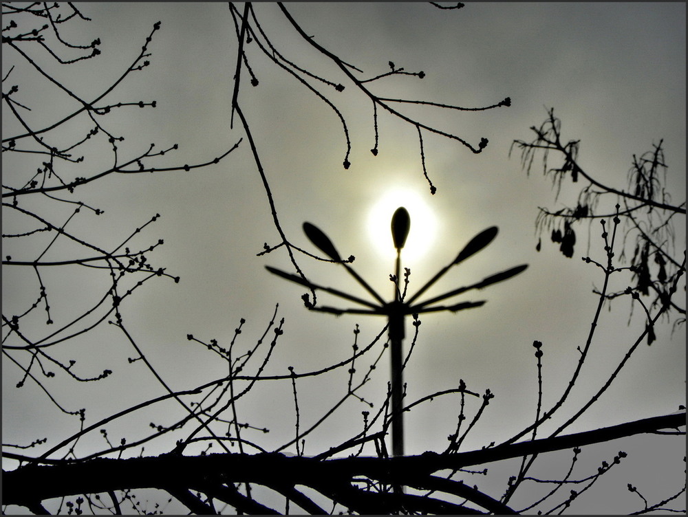 Фотографія Сонце, що криється.. / Ірина Кулікова / photographers.ua