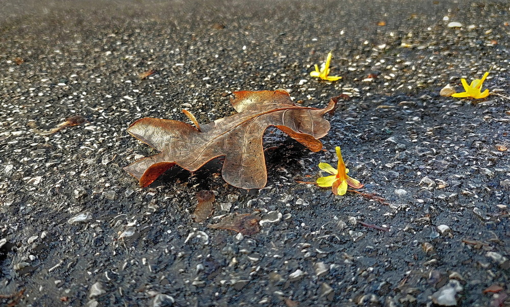 Фотографія Зустріч і прощання... / Ірина Кулікова / photographers.ua