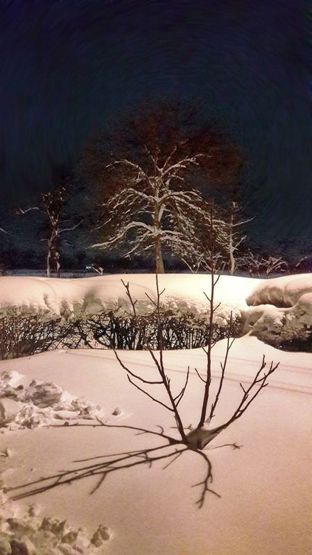 Фотографія Зимова нічна замальовка / Ірина Кулікова / photographers.ua