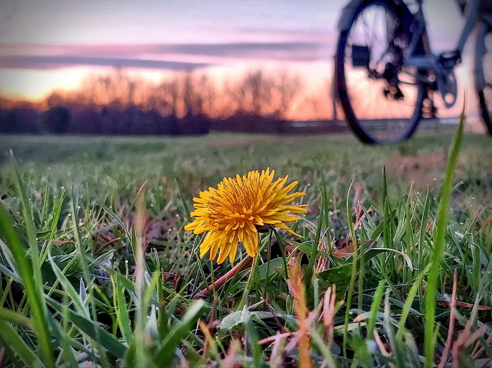 Фотографія Вечірній релакс.. / Ірина Кулікова / photographers.ua