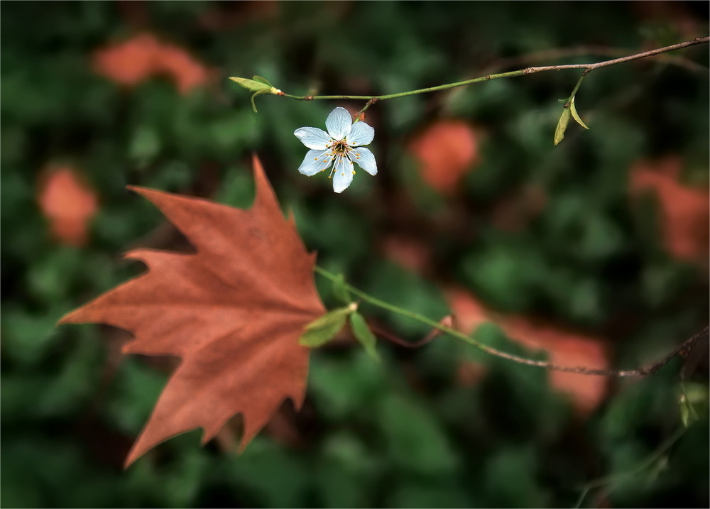 Фотографія Зустріч і прощання / Ірина Кулікова / photographers.ua