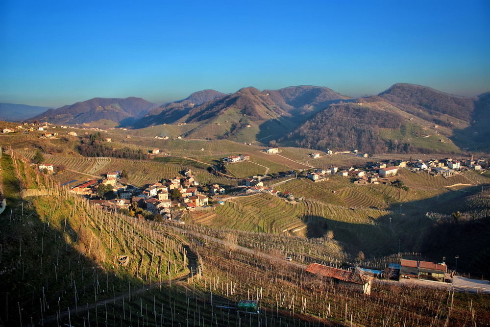 Фотографія Просекко взимку.. / Ірина Кулікова / photographers.ua