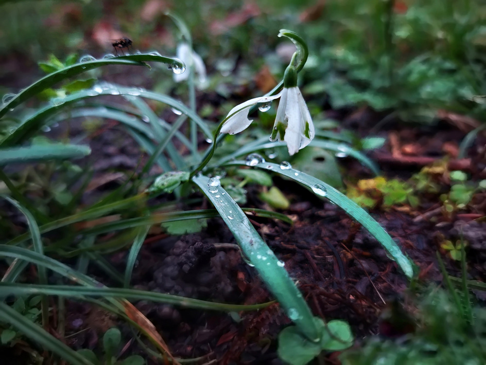 Фотографія Дощило.. / Ірина Кулікова / photographers.ua