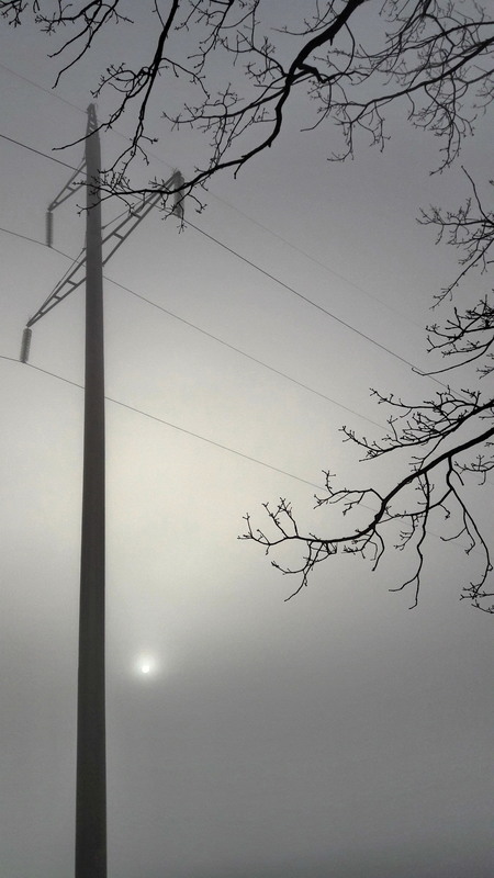 Фотографія Дзвенять високою напругою дроти...І сонце проглядає крізь туман.. / Ірина Кулікова / photographers.ua