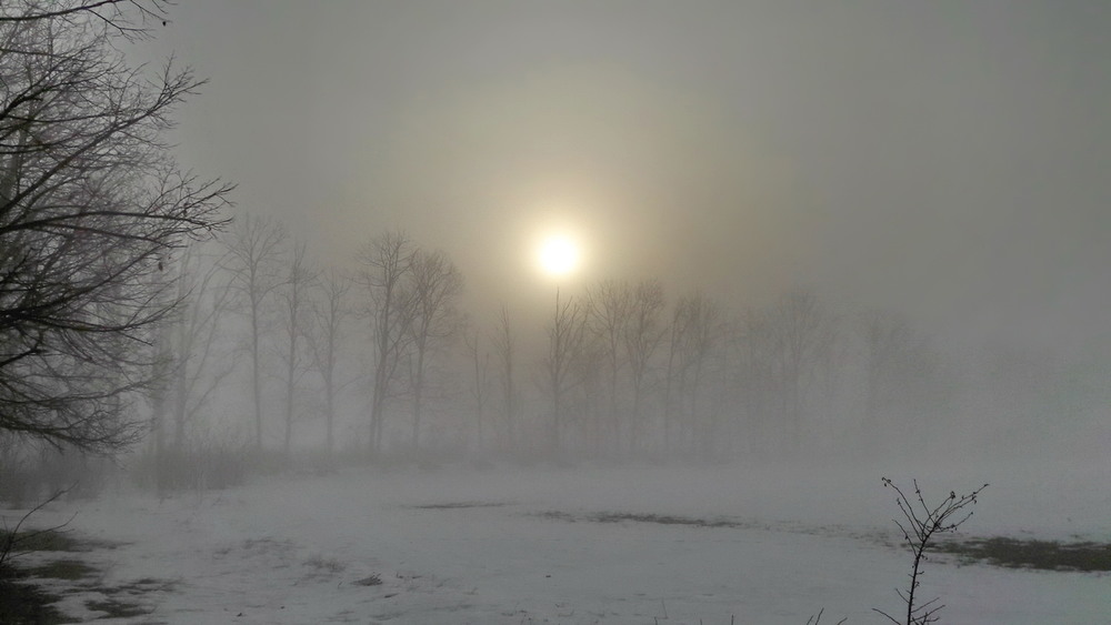 Фотографія Крізь туман до сонця / Ірина Кулікова / photographers.ua