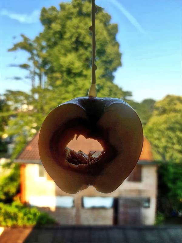 Фотографія Сальвадор Далі зверхньо дивиться на цю задумку.. / Ірина Кулікова / photographers.ua