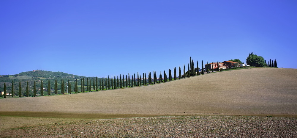 Фотографія Гребінка / Ірина Кулікова / photographers.ua