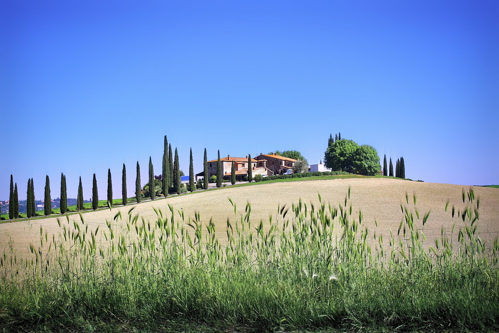 Фотографія Подорожуючи Тосканою.. / Ірина Кулікова / photographers.ua